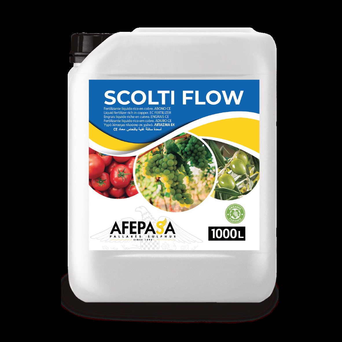 SCOLTI FLOW