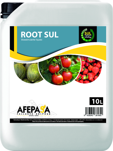 ROOT SUL