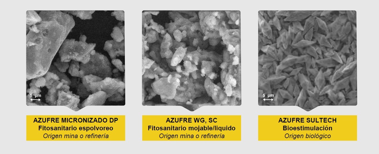 Images au microscope comparant la structure du soufre minéral normal à celle du soufre d'origine microbiologique.